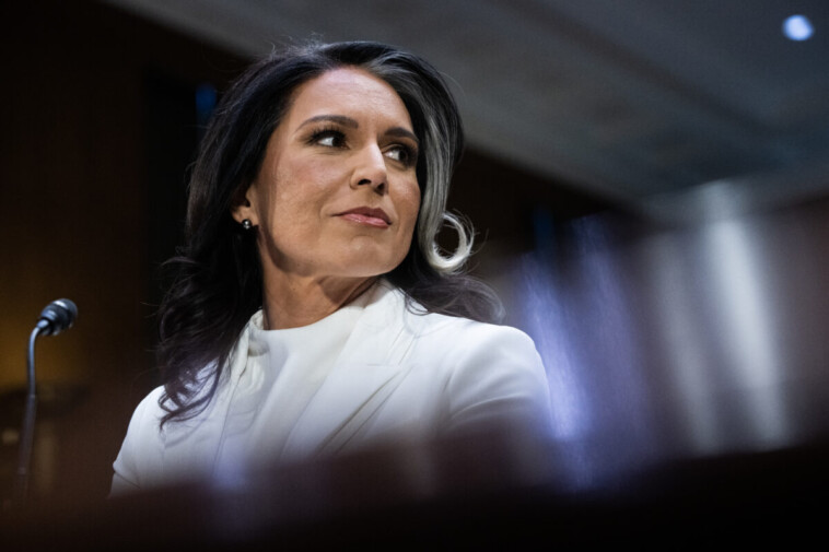 senate-confirms-tulsi-gabbard-as-director-of-national-intelligence