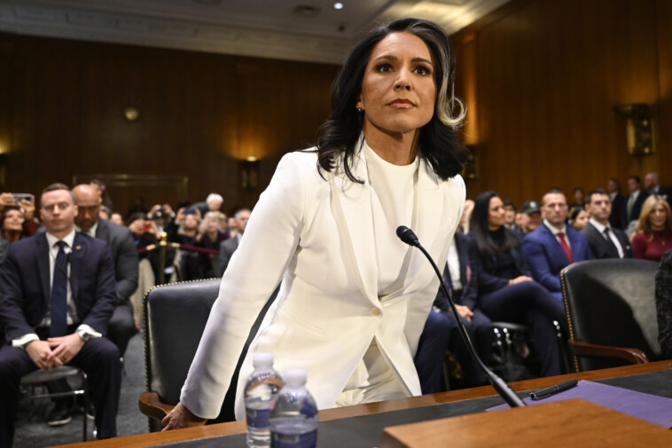 senate-confirms-tulsi-gabbard-as-director-of-national-intelligence