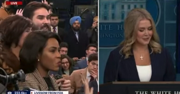 watch:-“utterly-ridiculous”-–-white-house-press-secretary-karoline-leavitt-responds-to-lunatic-rep.-jamie-raskin’s-calls-to-impeach-elon-musk