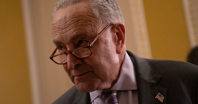 schumer-introduces-his-own-whistleblower-portal,-becomes-its-first-victim