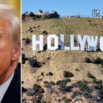 director-fears-trump’s-‘shock’-presidency-will-affect-the-‘integrity’-of-american-filmmakers