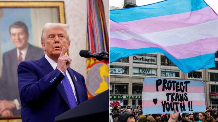 trump’s-‘two-sexes’-order-spurs-state-level-efforts-to-crack-down-on-trans-treatments-for-minors