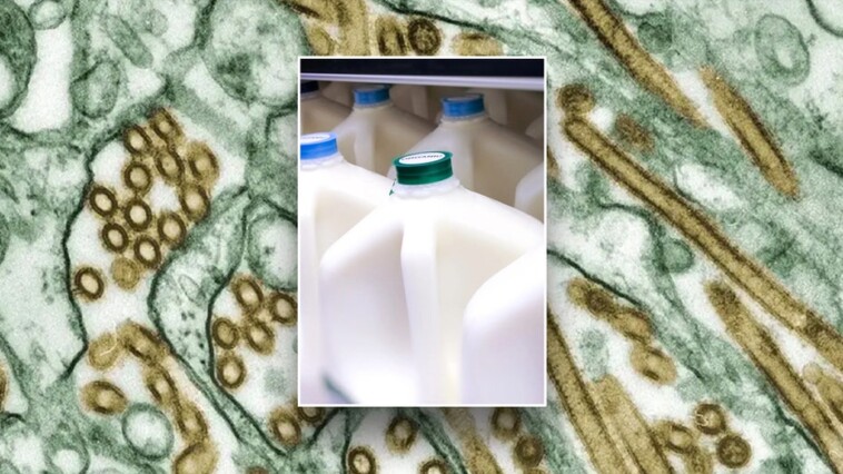 bird-flu-found-in-arizona-dairy-cattle-milk-after-being-first-detected-in-neighboring-nevada