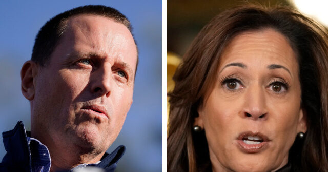 richard-grenell-considering-run-for-california-governor-if-kamala-harris-runs