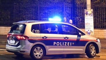 syrian-national-allegedly-stabs-passerby,-leaving-1-dead,-4-injured-in-southern-austria:-police