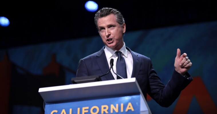 “treason!”-—-elon-musk-blasts-gavin-newsom-for-allocating-$9.5-billion-on-free-healthcare-for-over-700,000-illegal-aliens