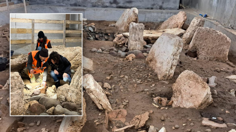 archaeologists-uncover-ancient-‘city-of-the-dead’-in-italy:-‘perfectly-preserved’