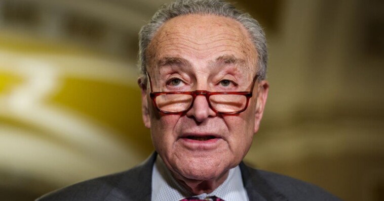 democratic-lawmakers-in-chaos-3-weeks-into-trump’s-presidency,-pulling-chuck-schumer-in-opposite-directions