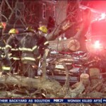 philly-woman-dies-after-tree-falls-on-her-car-from-high-winds-as-brutal-gusts-continue-monday