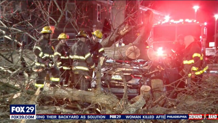 philly-woman-dies-after-tree-falls-on-her-car-from-high-winds-as-brutal-gusts-continue-monday