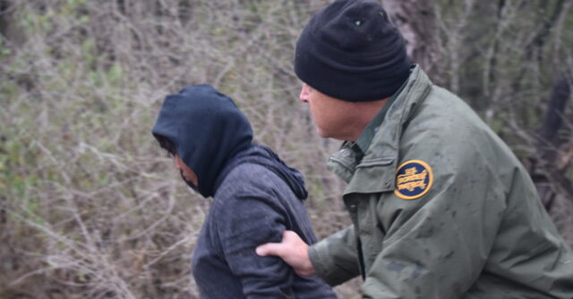 salvadoran-woman-sentenced-for-assaulting-border-patrol-agent-along-border-in-new-mexico