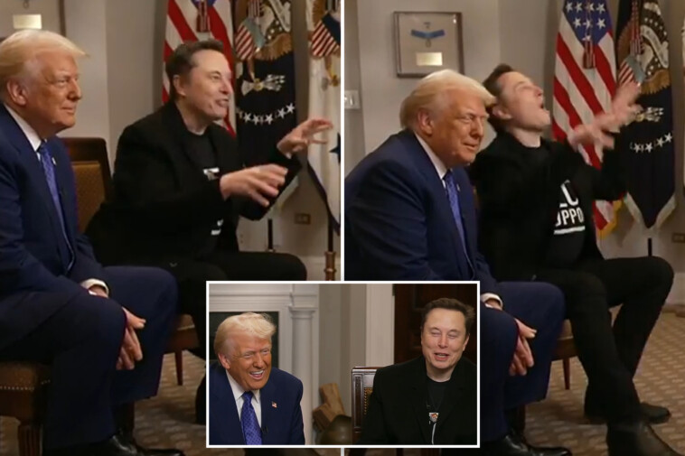 elon-musk-compares-‘trump-derangement-syndrome’-to-rabies-in-sit-down-with-president:-‘i-used-to-be-adored-by-the-left’