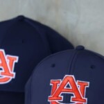 auburn-baseball-star-hits-home-run-hours-after-mother-died