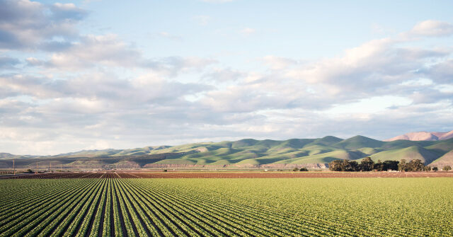 exclusive-—-secretary-rollins:-usda-exploring-‘federal-solution’-to-stopping-china-from-purchasing-us.-farmland