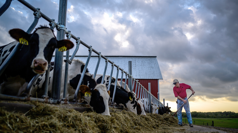 minnesota-declares-state-of-emergency-as-diseases-cripple-midwestern-farms