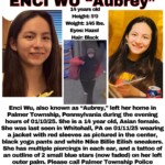 runaway-pa-teen-enci-wu-has-been-missing-for-a-month,-may-be-in-clutches-of-online-predators:-‘parents-worst-nightmare’