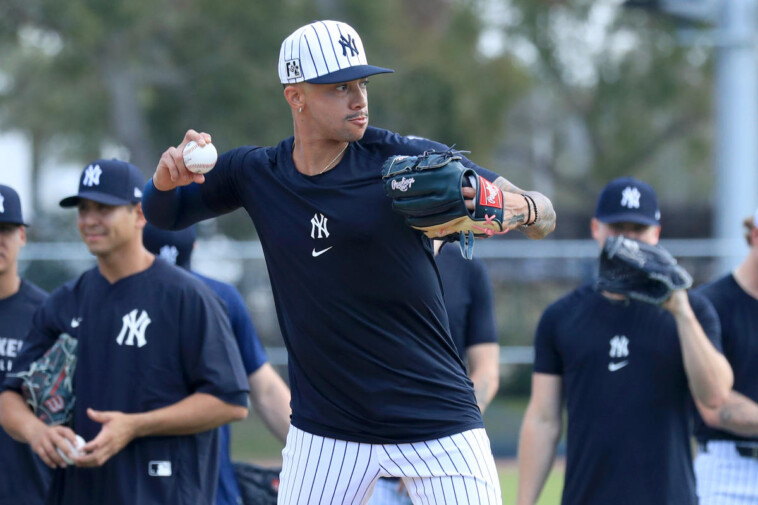 devin-williams-sneaks-some-forbidden-beard-into-yankees-team-photo