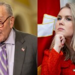 leavitt,-schumer-trade-barbs-after-dem-leader-blames-trump-for-delta-crash-landing