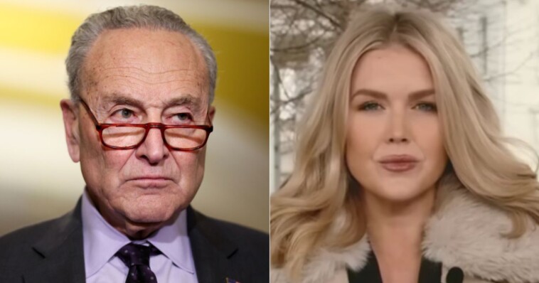 watch:-karoline-leavitt-shreds-chuck-schumer-for-‘incredibly-irresponsible’-claim-about-plane-crash