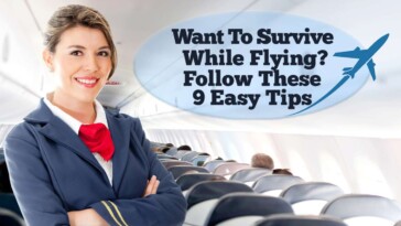 want-to-survive-while-flying?-follow-these-9-easy-tips