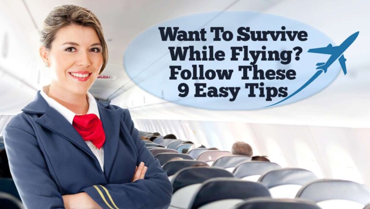 want-to-survive-while-flying?-follow-these-9-easy-tips