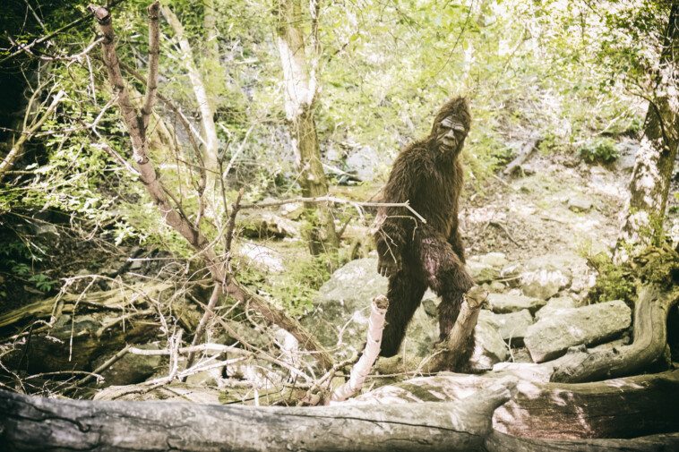 california-bill-aims-to-recognize-bigfoot-as-state’s-official-cryptid