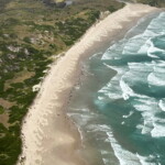 over-150-whales-stranded-on-australian-beach-cry-out-as-rough-seas-hinder-rescue-efforts:-‘they-are-suffering’