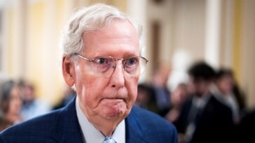 ‘good-riddance’:-maga-reacts-to-‘rino’-mitch-mcconnell-senate-exit