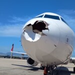 plane’s-nose-smashed-in,-smeared-in-blood-from-bird-strike-just-moments-after-takeoff