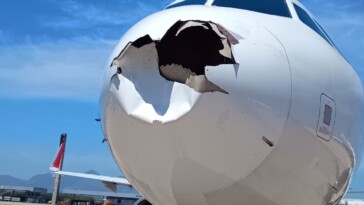 plane’s-nose-smashed-in,-smeared-in-blood-from-bird-strike-just-moments-after-takeoff