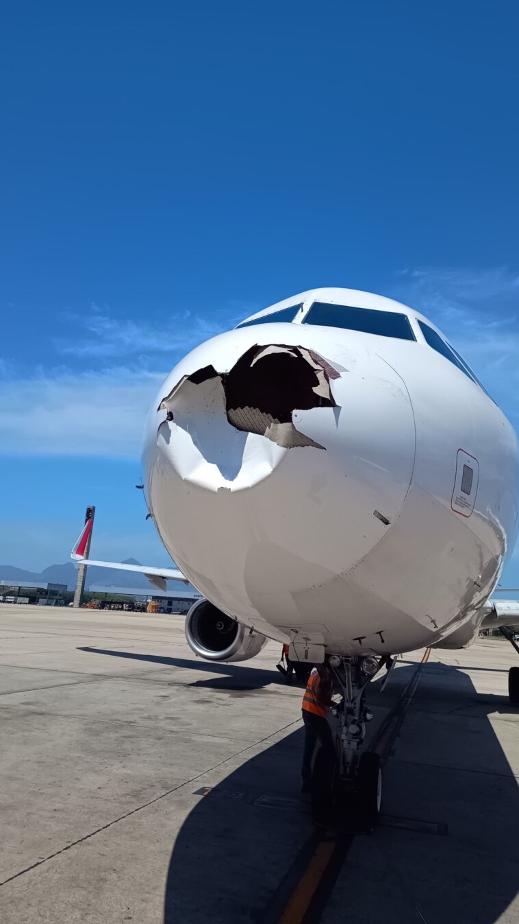 plane’s-nose-smashed-in,-smeared-in-blood-from-bird-strike-just-moments-after-takeoff