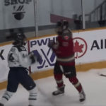 women’s-hockey-stars-throw-down-as-pwhl’s-first-fight-erupts