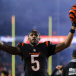 cincinnati-bengals-2025-nfl-offseason-primer:-defense-is-a-need,-but-tee-higgins-is-the-big-question