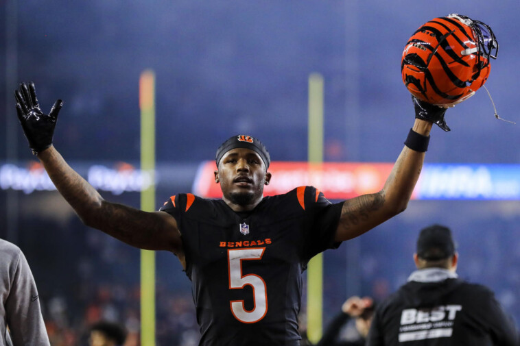 cincinnati-bengals-2025-nfl-offseason-primer:-defense-is-a-need,-but-tee-higgins-is-the-big-question