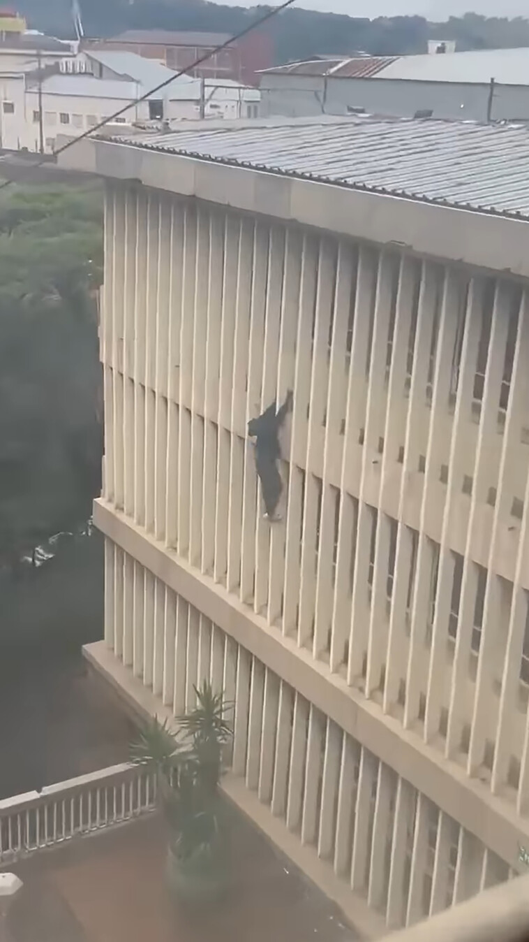 wild-video-shows-accused-burglar-climbing-down-3-story-court-building-in-‘tom-cruise-like’-escape