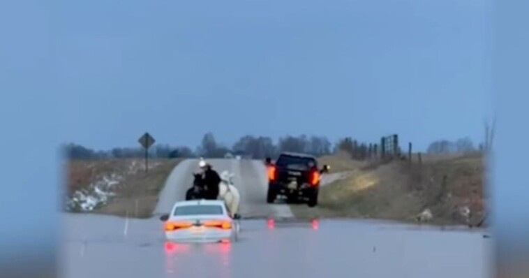 video:-amish-man-takes-matters-into-own-hands-after-finding-people-stranded-in-dangerous-flood-waters