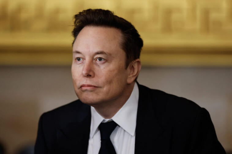 dem-senators-can’t-escape-elon-musk-asking-what-they-got-done-last-week