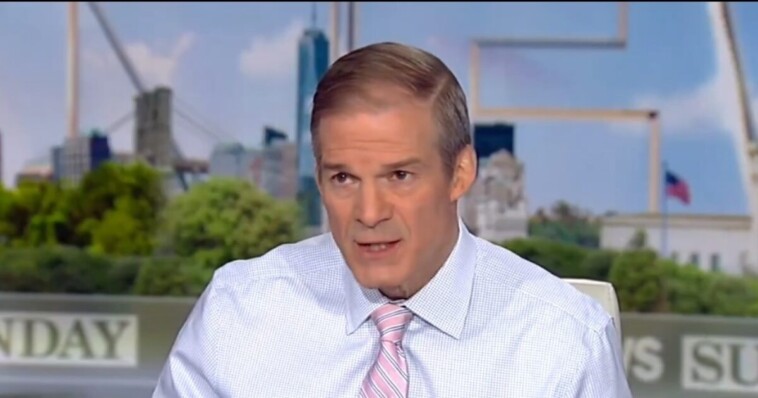 rep-jim-jordan-talks-with-shannon-bream-of-“fox-news-sunday”-about-doge-and-its-benefit-of-reducing-wasteful-spending-(video)