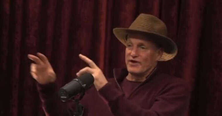 woody-harrelson-blasts-anthony-fauci-for-doing-‘extraordinarily-evil-sh-t’-on-joe-rogan-podcast-(video)