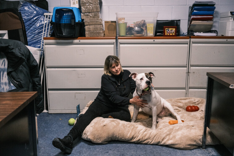 retired-long-island-nurse,-health-teacher-uses-ancient-technique-to-calm-anxious-animals:-‘just-like-people’