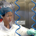 research-team-led-by-wuhan’s-‘batwoman’-finds-bat-coronavirus-in-china