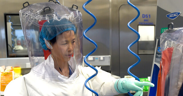 research-team-led-by-wuhan’s-‘batwoman’-finds-bat-coronavirus-in-china