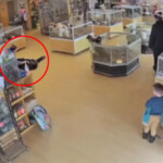 shameless-dog-nappers-fake-a-seizure-to-steal-puppies-from-colorado-pet-store:-video