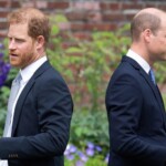 prince-harry,-prince-william’s-former-palace-aide-gives-rare-interview-on-‘sad’-royal-rift-between-brothers