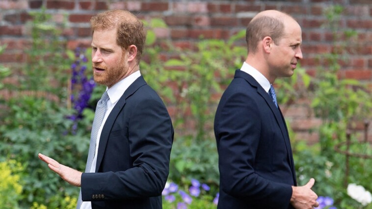 prince-harry,-prince-william’s-former-palace-aide-gives-rare-interview-on-‘sad’-royal-rift-between-brothers