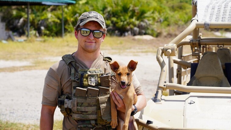 us-marine-protected-puppy-while-deployed,-now-hopes-to-bring-her-home