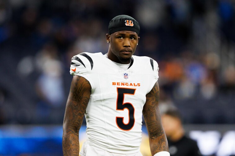 tee-higgins-calls-cap-after-bengals-exec-says-he’s-‘optimistic’-about-wr-returning-to-cincinnati