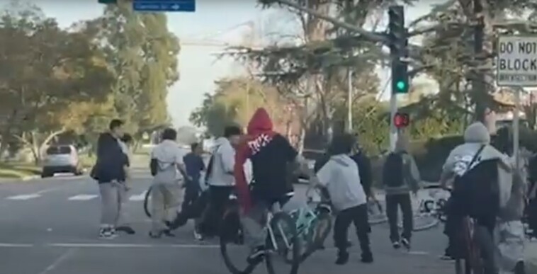 mob-of-‘20-to-30′-vicious-bike-riding-teens-gang-up-and-beat-la-driver-‘in-broad-daylight’:-video