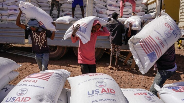 analysts-back-trump’s-usaid-cuts-in-africa,-say-increased-trade-will-better-benefit-continent’s-poor