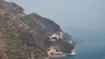 china’s-‘puppy-mountain’-has-become-a-must-see-destination-for-tourists-and-their-dogs:-‘magical-and-cute’